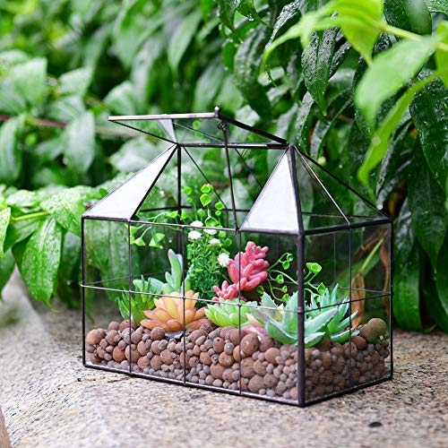 Large Glass Terrarium House Planter – Succulent Plant Glass Greenhouse with lid 9.8"X7.9"X5.9" NA
