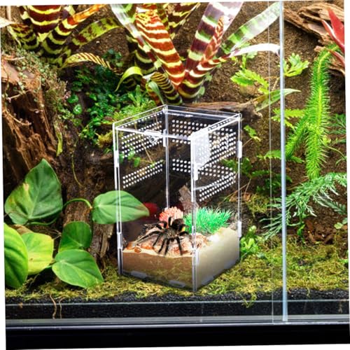 Kisangel Acrylic Reptile Egg Box Turtle Enclosure Tarantula Habitat Reptile Feeder Box Lizard Food Container Insect Feeding Lock