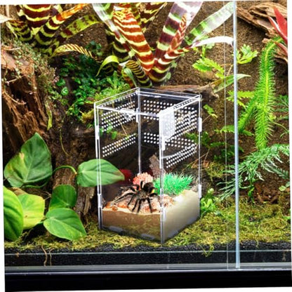 Kisangel Acrylic Reptile Egg Box Turtle Enclosure Tarantula Habitat Reptile Feeder Box Lizard Food Container Insect Feeding Lock