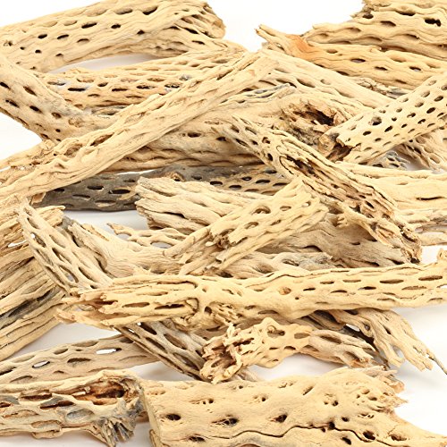Koyal Wholesale Natural Cholla Wood Aquarium Branches, Airplants Decor, Reptile Perch, Untreated Cholla Wood Piece, Aquarium Driftwood Leopard Gecko Tank & Hermit Crab Accessories (2lb Bag) - size: 2lb Bag