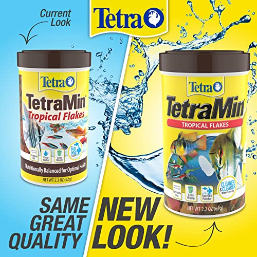 TetraMin Tropical Flakes Fish Food, Balanced Diet, 7.06 oz 12 Pack | Top- & Mid-Feeding Staple, Antioxidants, Proteins & Prebiotics, Less Waste - size: 7.06 Ounce (Pack of 12)