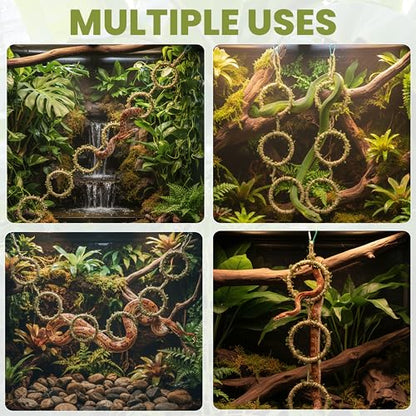 Snake Climbing Rings for Ball Python & Corn Snake, Reptile Toys | Enrichment Pet Toys & Tank Cage Decor, Habitat Accessories for Terrarium, Bearded Dragon, Chameleon, Lizard & Parrot