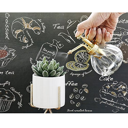Plant Mister, 6.5" Tall Decorative Glass Water Spray Bottle with Gold Top Pump Small Watering Can by Ebristar - Clear - color: Clear+Gold N