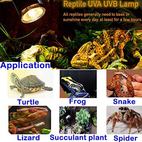 75W Reptile Heat Lamp, Turtle Heating Light UVA UVB Temperature Adjustable 360°Rotatable Clip Basking Lamp for Amphibian Reptile Turtle Lizard Snake (Heat Light with 2pcs 75W Bulb) - size: Heat light with 2pcs 75W Bulb