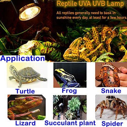 75W Reptile Heat Lamp, Turtle Heating Light UVA UVB Temperature Adjustable 360°Rotatable Clip Basking Lamp for Amphibian Reptile Turtle Lizard Snake (Heat Light with 2pcs 75W Bulb) - size: Heat light with 2pcs 75W Bulb