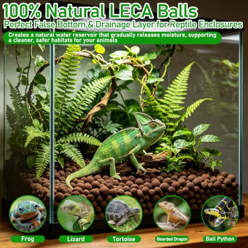 Riare 2LBS Expanded Clay Balls Terrarium Substrate for Reptiles - 100% Organic Lightweight Clay Pebbles Substrate Frogs False Bottom Substrate, Bioactive Terrarium Substrate for Drainage and Moisture - color: 2LB