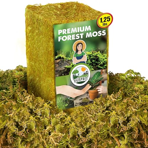 1.25 LBS Real Dried Forest Moss for Potted Plants, Plant Propagation | Hand-Picked & Clean, Easy to Rehydrate, Balanced Moisture, Forest Orchid Moss for Potting Mix,Moss Soil Cover for Houseplants - size: 1.25 LB