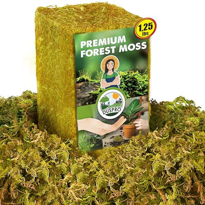 1.25 LBS Real Dried Forest Moss for Potted Plants, Plant Propagation | Hand-Picked & Clean, Easy to Rehydrate, Balanced Moisture, Forest Orchid Moss for Potting Mix,Moss Soil Cover for Houseplants - size: 1.25 LB