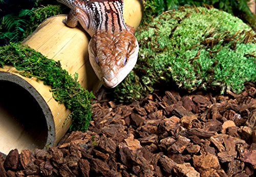 SuperMoss Galápagos (05024) Jurassic Fir Bark Bedding, 8-Quart, Natural - size: 8-Quart Bag
