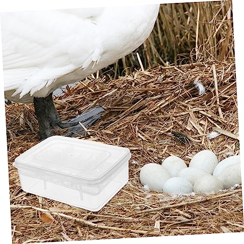2pcs Compartment Reptile Incubation Tray Unbreakable for Tortoise Lizard Eggs Pet Supply