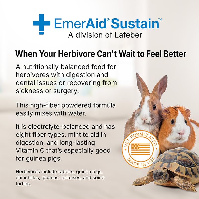 Sustain Herbivore (400 g, Mint) | Nutritionally complete recovery food for herbivorous small pets and reptiles - size: 400 g
