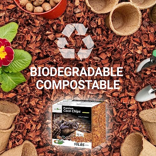 REPTI ZOO 72 Quart Reptiles Coconut Chip Substrate, Coco Husk Reptiles Bedding for Ball Python, Snakes, Geckos, Lizards, Tortoises, Frogs | Terrarium Tanks Substrate - style: Coconut Chip Substrate