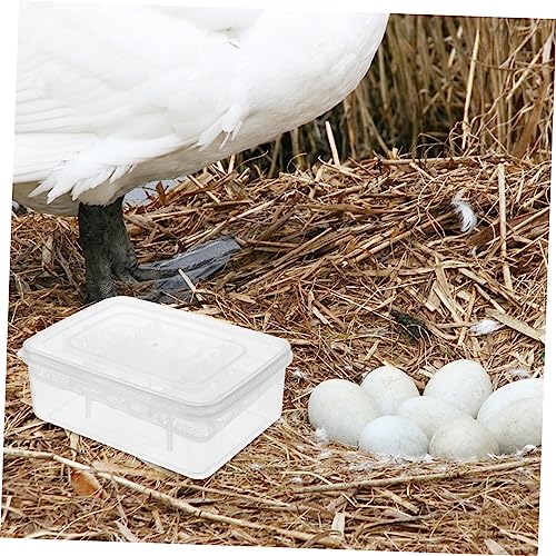 Kisangel 2pcs Reptile Egg Incubator with Compartment Hatching Box for Lizards and Tortoise Eggs Durable Transparent Easy to Clean and Reusable Breeding