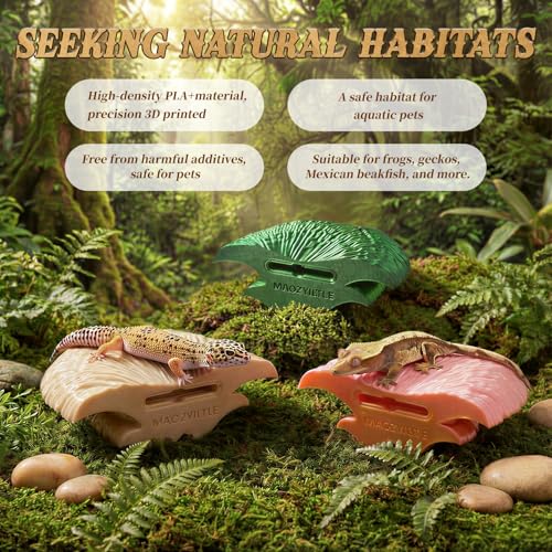 Mushroom Reptile Ledge| Tree Frog Terrarium Tank Accessories, Crested Gecko Tank Accessories, Frog Habitats, Fish Tank Decor| Terrarium Plants Decor from Daughter| 4 Suction Cups