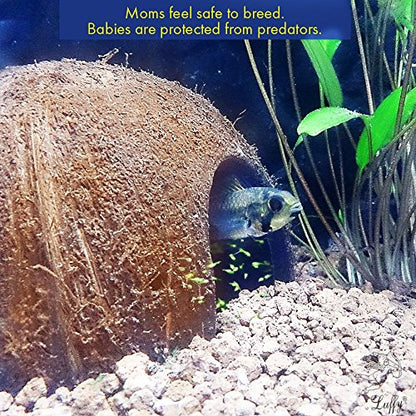 SunGrow Coconut Hut for Crested Gecko, 5x3 Inches Reptile Climbing Hide, Leopard Gecko Tank Cage Habitat Accessories, Smooth-Edged Coconut Shell, for Exercise, Crawling, Perching and Basking Spot