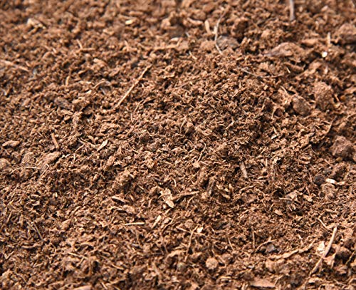 Perfect Plants Organic Sphagnum Peat Moss, 4 qt, Soil Additive | 100% pure with no fillers, holds water and nutrients like a sponge, loosens potting media so roots grow freely - size: 4qts.