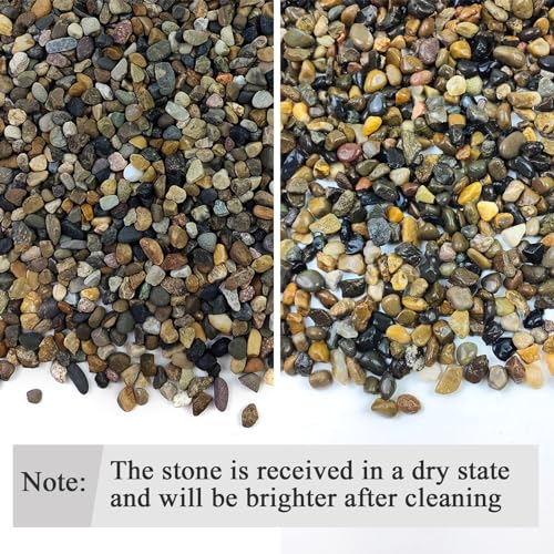 FANTIAN 2 lbs Aquarium Gravel, 1/4 inch Pea Gravel for Fish Tank | Natural Pebbles River Rocks for Plants, Succulent, Vase, Pond, Outdoor Landscaping, Drainage, Terrarium, Safe for Fish - size: 1/4 Inch