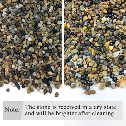 FANTIAN 2 lbs Aquarium Gravel, 1/4 inch Pea Gravel for Fish Tank | Natural Pebbles River Rocks for Plants, Succulent, Vase, Pond, Outdoor Landscaping, Drainage, Terrarium, Safe for Fish - size: 1/4 Inch