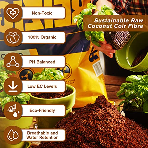 10Pack Organic Coco Coir Brick for Plants, Natural Coconut Coir Soil | Moisture Retention, Coconut Fiber Substrate for Seed Starting, Soil Amendment, Potting Mix, Gardening, Composting & Reptile - size: 10 Pack