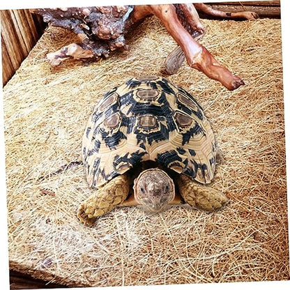 Abaodam 2Pcs Natural Coconut Fiber Reptile Mat Breathable Bedding Liner for Tortoise and Reptile Pet Boxes Odorless Performance