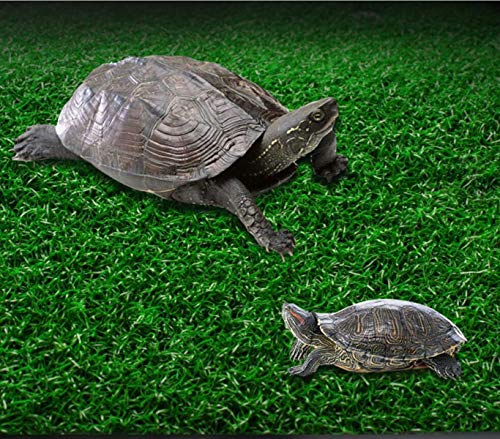alfyng Turtle Resting Basking Platform Simulation Grass Turtle Ramp, Lawn Tortoise Climbing Ladder Resting Terrace for Reptile Frog Terrapin Amphibian - Medium - size: Medium