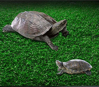 alfyng Turtle Resting Basking Platform Simulation Grass Turtle Ramp, Lawn Tortoise Climbing Ladder Resting Terrace for Reptile Frog Terrapin Amphibian - Medium - size: Medium