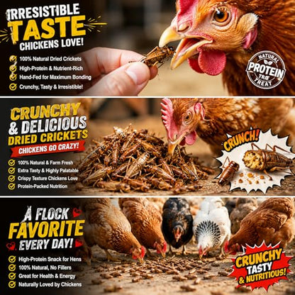 Natural Dried Crickets, Food for Bearded Dragons, Wild Birds, Chicken, Fish, Reptiles & Small Pets (4 oz Resealable Can), High Protein Natural Pet Treats
