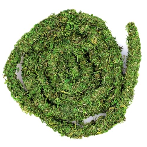 Galápagos (05266) MossVine, Real Moss Vine, 12FT, Green - size: 12 FT