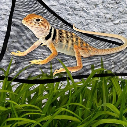 2 Pcs Bearded Dragon Lizard Hammock, Triangular, Breathable Mesh, Black, 13" x 13" x 19" - color: Black