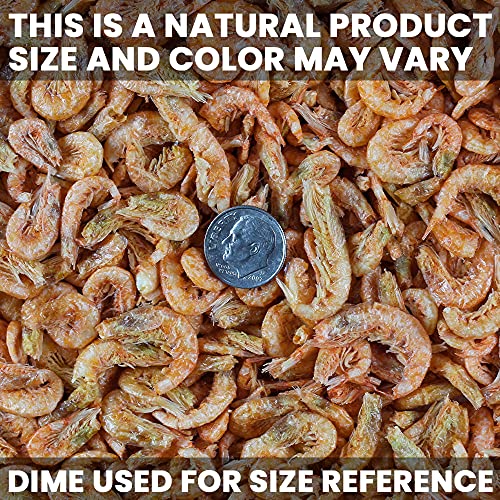 San Francisco Bay Brand Freeze Dried Krill Fish Food - All-Natural, Sustainably Harvested, High Protein Dried Shrimp for Freshwater and Saltwater Carnivores, Koi, Cichlids, Turtles - 1.27 oz (36g)