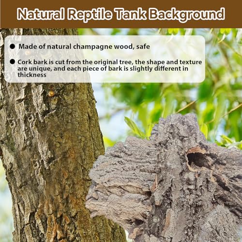 Reptile Cork Bark Substrate,1.5 LB Natural Tree Bark for Terrarium Wood Gecko Climbing Bark Bedding Bulk Habitat Decor for Bearded Dragon Spider Lizard Tarantula Hermit Crab - size: 【1.5 LB】