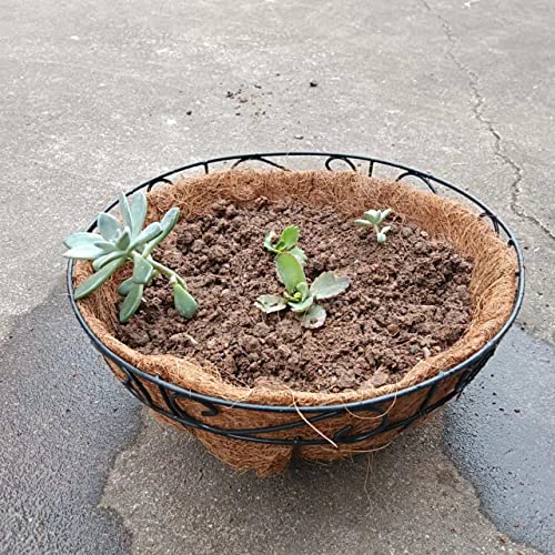 Joen 14 Inch Round Coco Fiber Replacement Liner for Hanging Basket (3 Pieces)