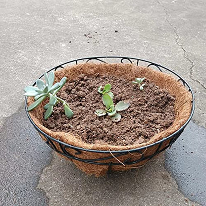 Joen 14 Inch Round Coco Fiber Replacement Liner for Hanging Basket (3 Pieces)