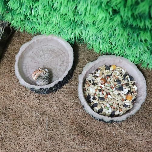 3 Pack Reptile Water Dish Food Bowls, Hermit Crab Food Dish with Feeding Tongs, Bearded Dragon Water Bowl, Suitable for Hermit Crab Lizard Gecko Tortoise Turtle Frog Leopard Crested Gecko - color: Tree Stump