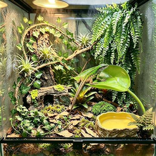 Bearded Dragon Tank Accessories, Terrarium Decor, Ball Python | Leopard gecko,Crested gecko, Chameleon cage accessories,Terrarium plants,Reptile decor,Starter kit,Snake decor,Hermit crab