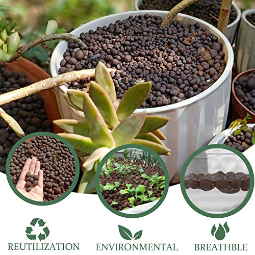 2LBS Leca Expanded Clay Pebbles Hydroponics Supplies for Indoor Garden Plants (2LBS) - size: 2LBS