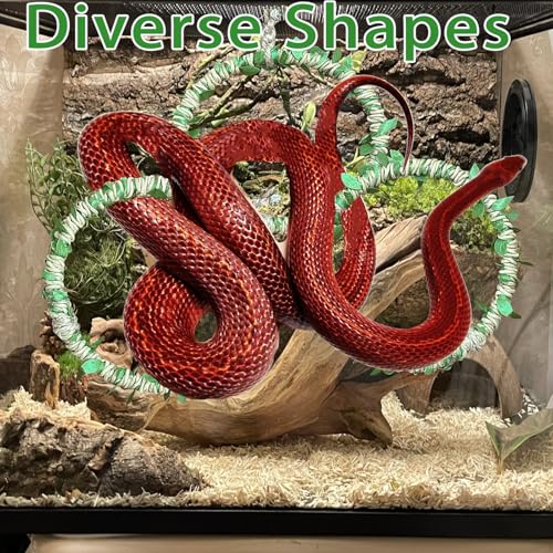 Snake Climbing Rings for Ball Python- Enclosure Accessories – Reptile Habitat Decor, Climbing Branches & Bedding for Ball Python, for Corn Snake Enhancement Ring Toys