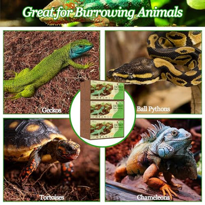 Riare 6 Pack Natural Coconut Fiber Substrate for Reptile- Premium Compressed Coconut Husk Terrarium Bedding for Reptile, Tortoise, Frogs, Snakes Hermit Crabs, Burrowing Animals - color: 6 Pack
