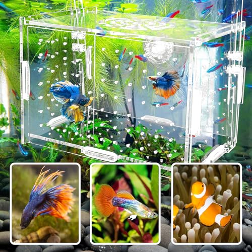 Hamiledyi Acrylic Breeding Isolation Box - Transparent Aquarium Hatchery for Guppy/Shrimp/Small Fish, Safe Nursery Tank with Air Tube & Suction Cups(5.9" × 3.9" × 3.9") - size: S(5.9" × 3.9" × 3.9")