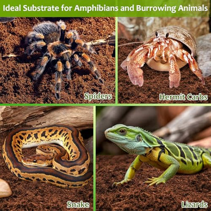 Riare 4 Pack Natural Coconut Fiber Substrate for Reptile- Premium Compressed Coconut Husk Terrarium Bedding for Reptile, Tortoise, Frogs, Snakes Hermit Crabs, Burrowing Animals - color: 4 pack