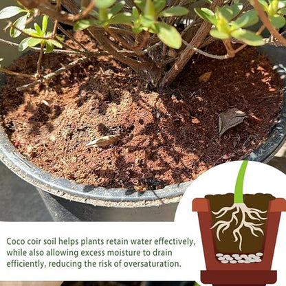 Coco Coir Brick for Organic Coconut Soil - 2 Pack With Low EC & PH Balance - High Expansion Fiber for Herbs & Flowers - Renewable Planting Medium - size: 2 Pack