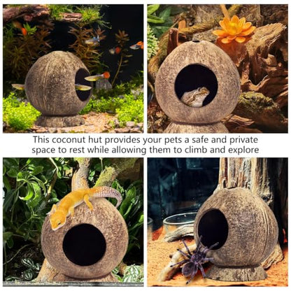 PINVNBY 2 Pcs Natural Coconut Shell Reptile Hide Crested Gecko Tank Accessories for Small Lizard Leopard Gecko Spider Snail Hermit Crab Hideout - size: High-Crowned Style, 2PCS