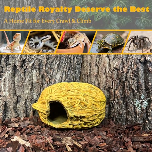Leopard Gecko Reptile Hide Terrarium Décor Bearded Dragon Walnut Hideout Tank Accessories Decoration Cave Amphibian Habitat - style: WALNUT