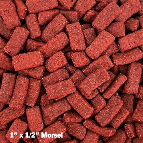 Mozaic Tortoise Food 2-Pack, 30 oz Total (2 x 15 oz Bags) - Premium Large Tortoise Pellets for Sulcata, Russian, Red Footed, Hermann's, & Desert Tortoises - Complete & Balanced Nutrition - size: 15 Ounce (Pack of 2)