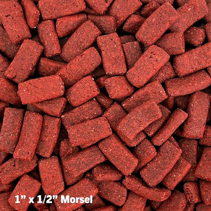 Mozaic Tortoise Food 2-Pack, 30 oz Total (2 x 15 oz Bags) - Premium Large Tortoise Pellets for Sulcata, Russian, Red Footed, Hermann's, & Desert Tortoises - Complete & Balanced Nutrition - size: 15 Ounce (Pack of 2)