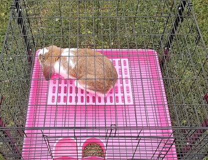 Saguaro Acres Rabbit and Small Animal Cage Resting Mat for Wire Floored Cages 2 Pack (Pink & Teal) - color: Pink & Teal