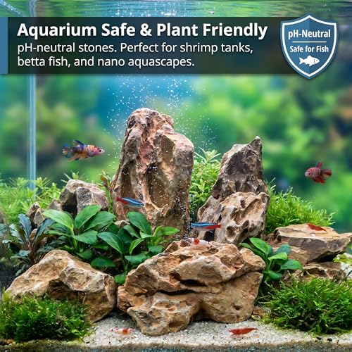 Natural Dragon Stones 3lb, Aquarium Aquascaping Rocks（2-5 inch） | Aquascaping Stone for Fish Tank,Terrariums,Paludariums,Reptile Enclosures & Gardens,Landscaping Rocks - color: Dragon Stone, size: 3Lb (2-5 inch)