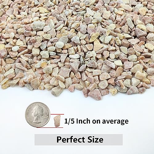 10LB Succulent and Cactus Gravel Pebbles, 1/5 Inch Stones Peach | Natural Decorative River Rocks for Plants, Vases, Aquariums, Terrarium and Outdoor Gardening - color: Peach, size: 10 Pounds
