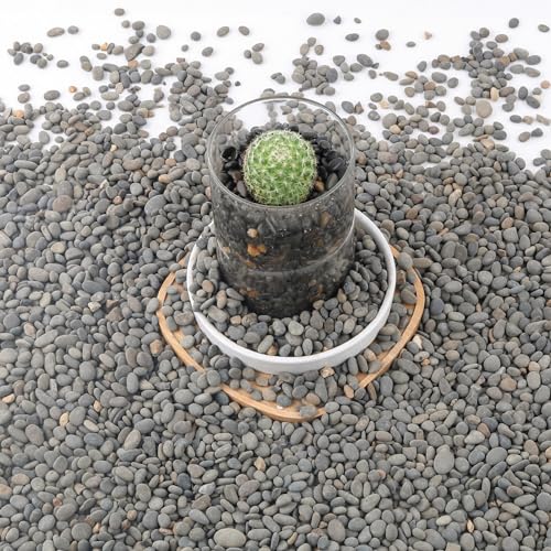 CJGQ 7lb Aquarium Gravel for Plants, Decorative River Rocks Pebbles for Succulents Cactus Outdoor Garden Landscaping, Plant Rocks Natural Small Drainage Rocks Gravel for Fish Tank Vases Terrarium - color: Black-Small, size: 7lb