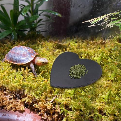 Reptile Basking Platform, 7.9 × 7.9 inch Tortoise Rock Plate, Heart Shape Natural Rock Reptile Food Dish, Turtle Feeding Bowl, Habitat Decor for Bearded Dragon Chameleon Frog Lizard Gecko Hermit Crab - size: S- 8 × 8 inch
